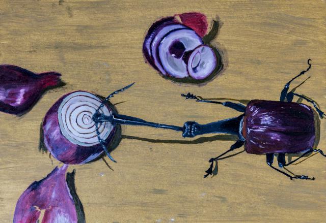 Sk-web-001351.jpg Käfer