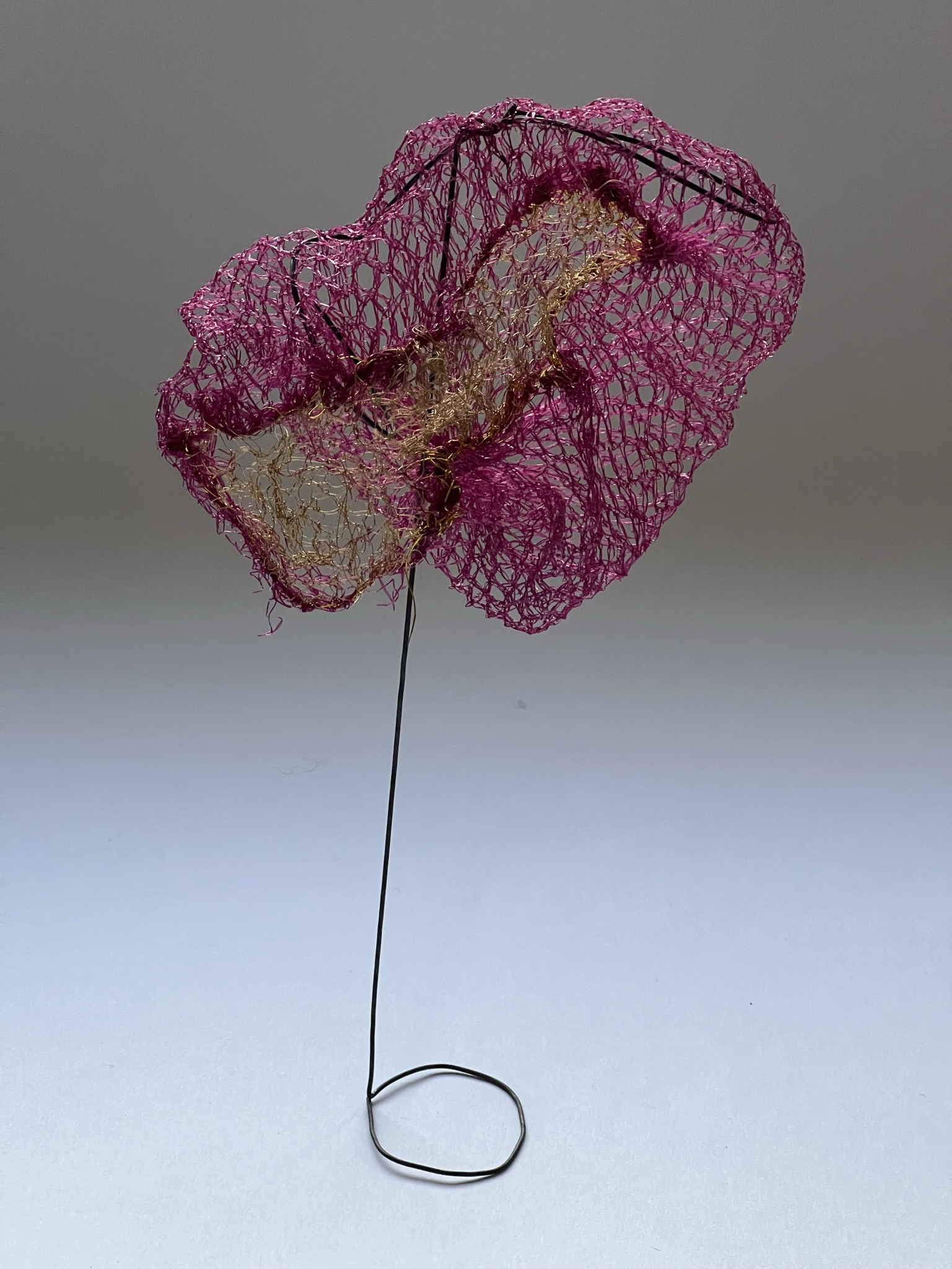 Impulse aus den Fortbildungen